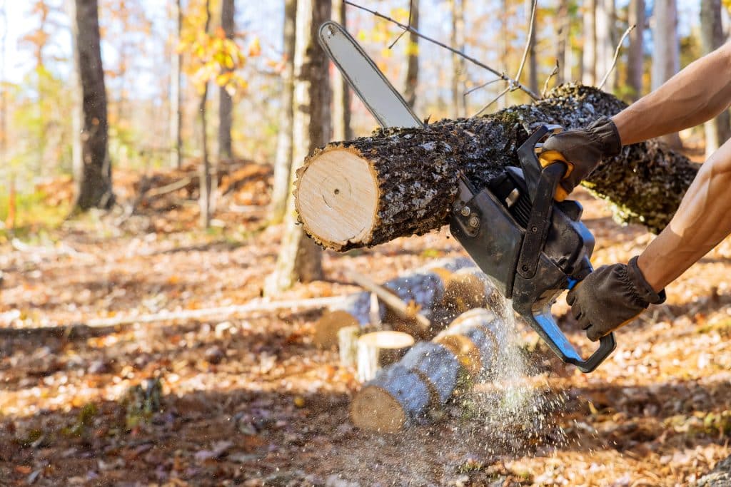 Chainsaw cutting through a log.