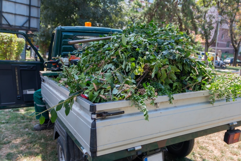 How Professional Fall Cleanups Extend Your Landscape's Life