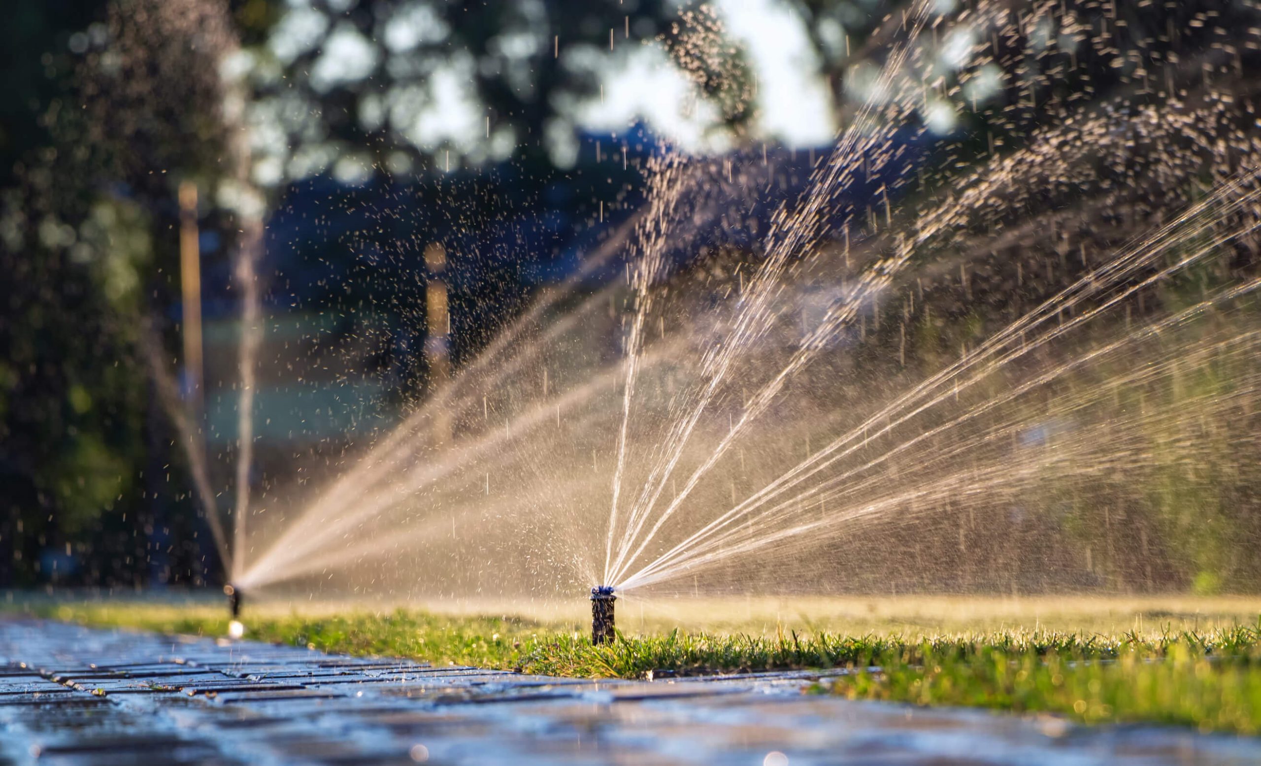 Several sprinkler heads from an irrigation system with sunlight
