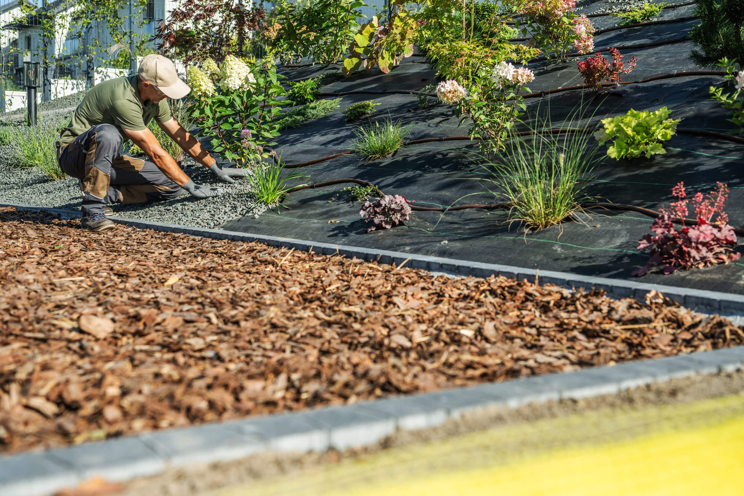 A landscape worker installing garden plants