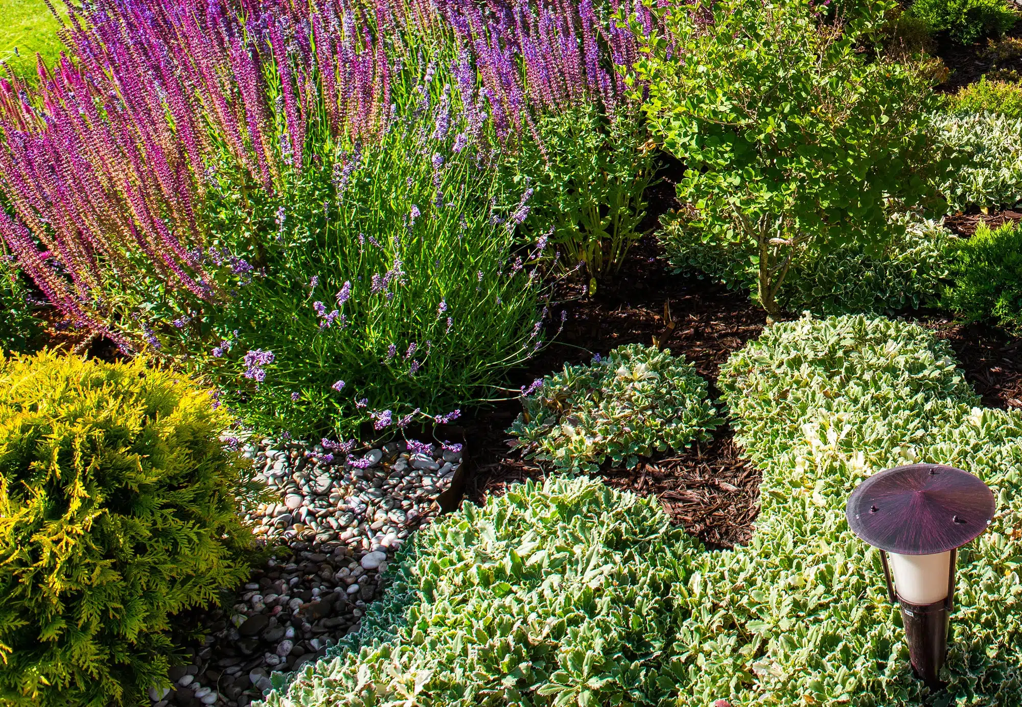 A lush garden featuring a variety of plants and landscape lighting