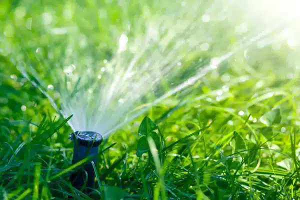 A close up shot of a sprinkler head in an irrigation system