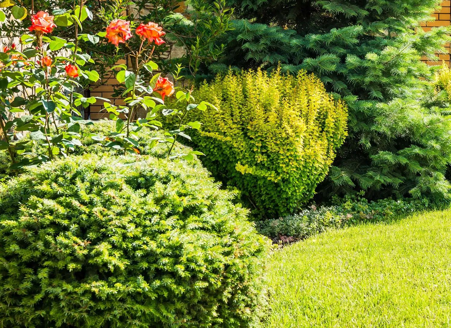 A garden consisting of various shrubs, trees, and flowers
