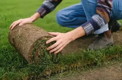 A close up view of someone rolling out fresh sod