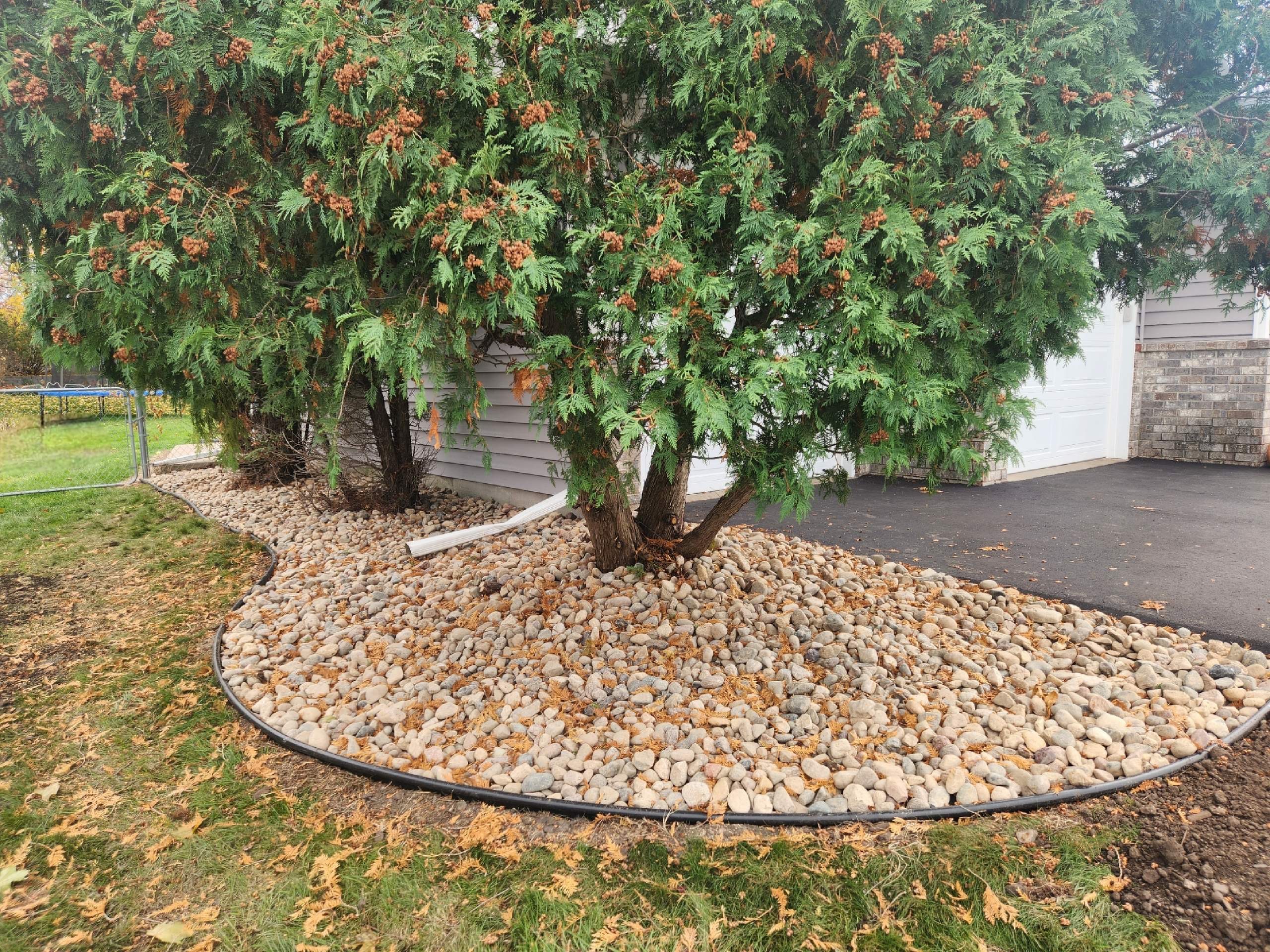 Smooth river rocks installed around the base of several mature trees in a landscaped bed.
