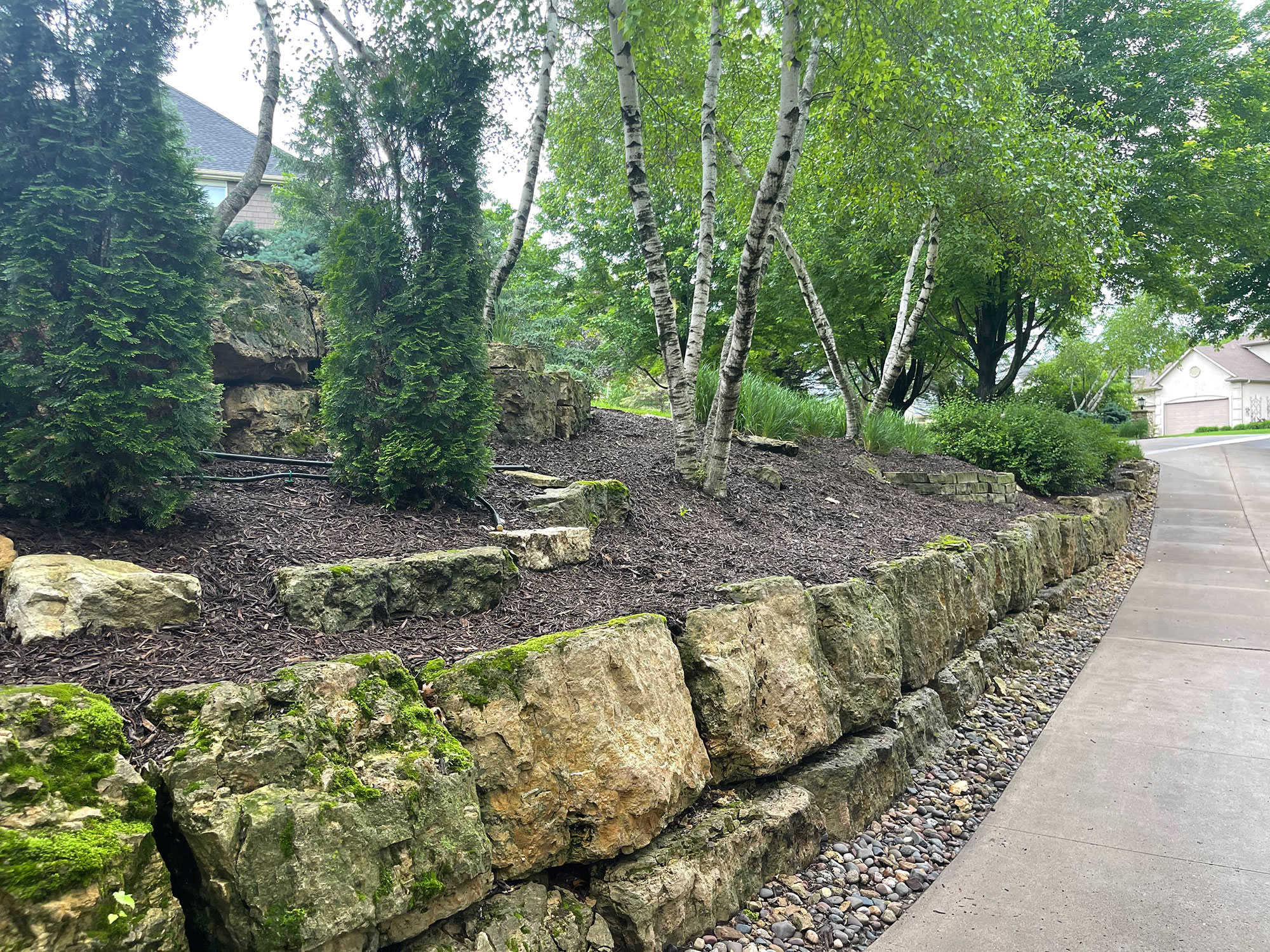 A landscaped area with a stone retaining wall, healthy shrubs, and trees, with mulch in the planting beds.