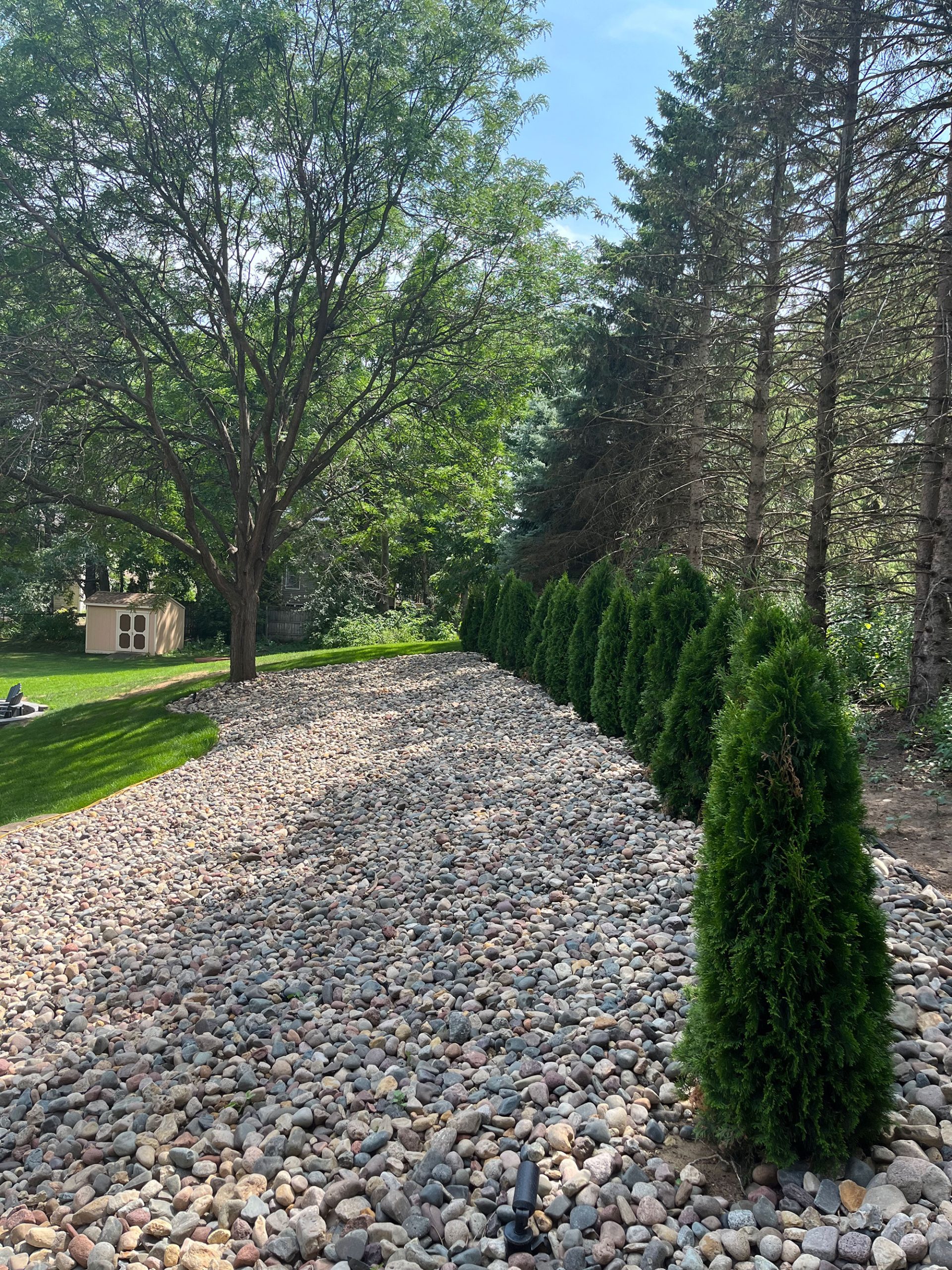 A landscaped residential path bordered by a row of evergreen shrubs and stone edging.