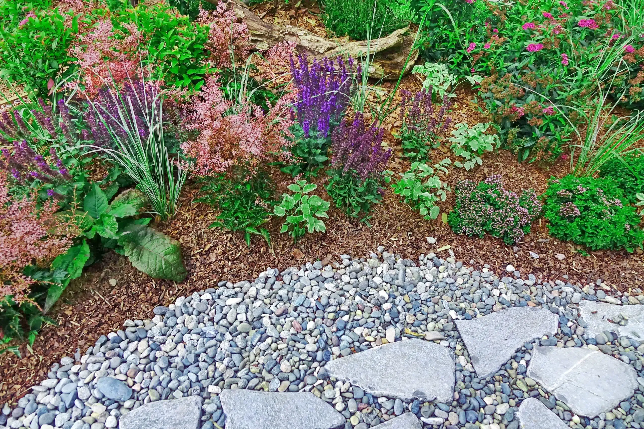 An overhead shot of where a stone walkway meets a garden filled with a variety of plants